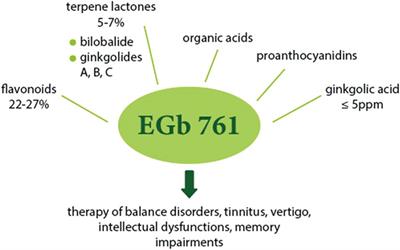 The Use of Ginkgo Biloba L. as a Neuroprotective Agent in the Alzheimer’s Disease